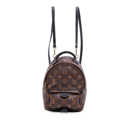 Louis Vuitton Palm spring