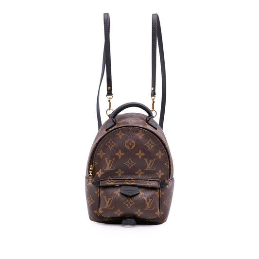 Louis Vuitton Palm spring
