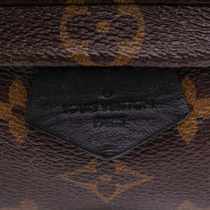 Louis Vuitton Palm spring