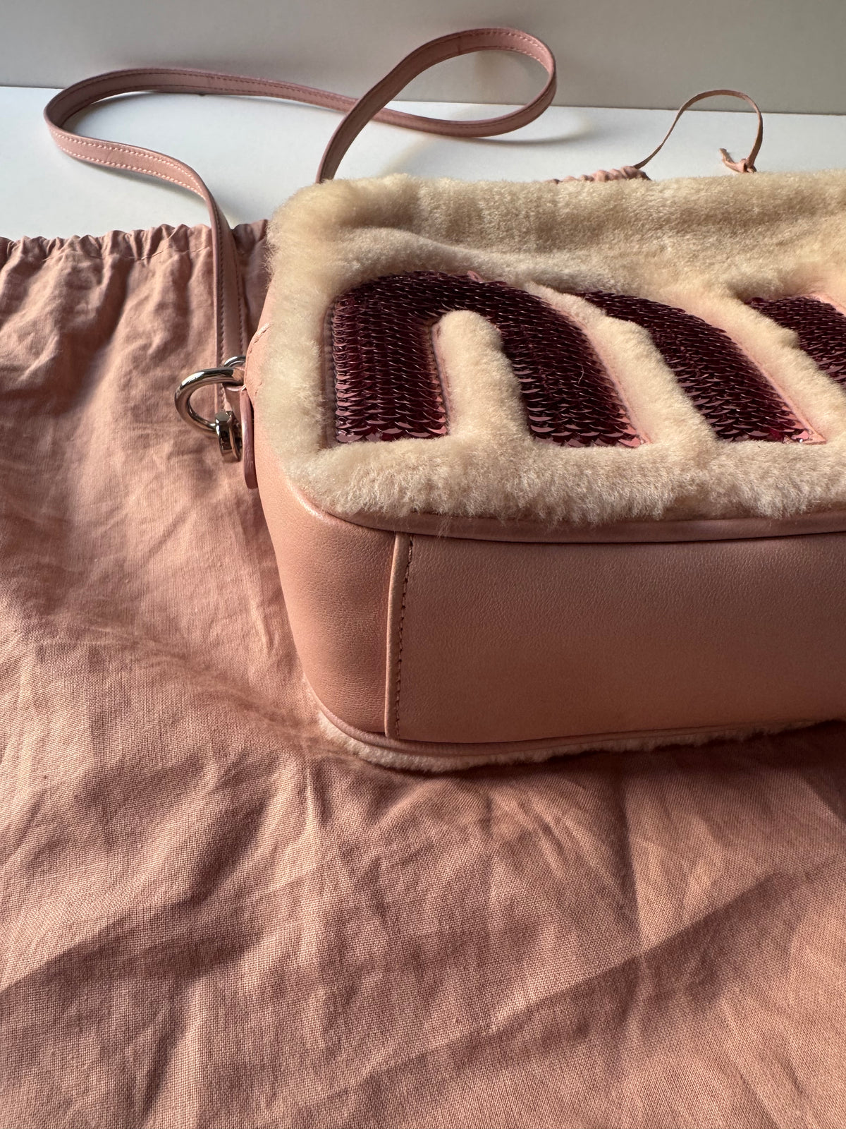 Miu Miu Logo Camera Bag