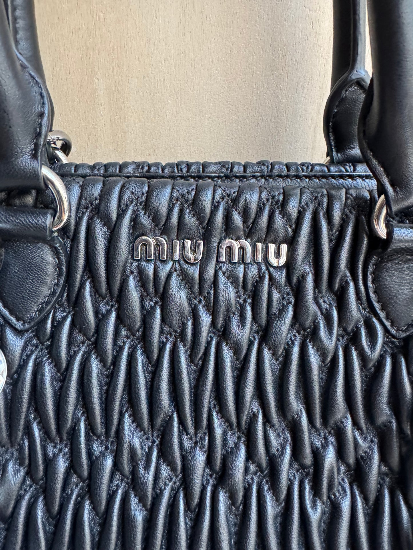 Miu Miu Crystal Bag