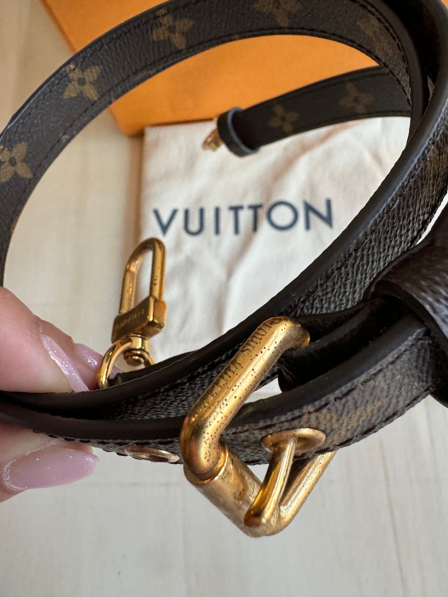 Louis Vuitton Monogram Pochette Metis