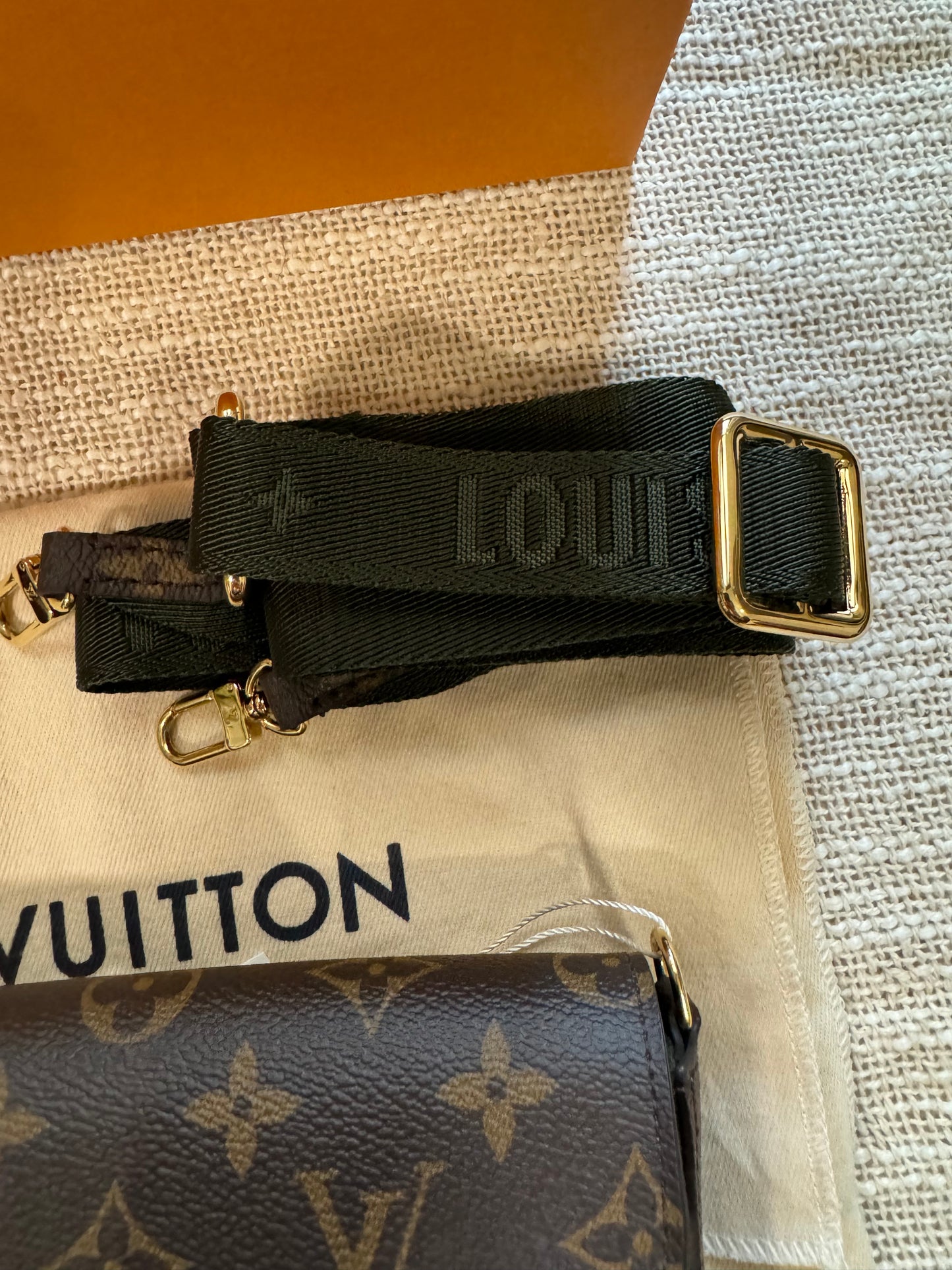 Louis Vuitton Monogram Félicie Strap and Go