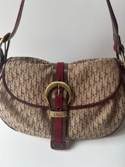 Dior Diorissimo Trotter Bag