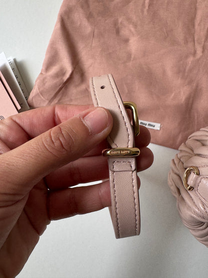 Miu Miu Mini Pouch Bag