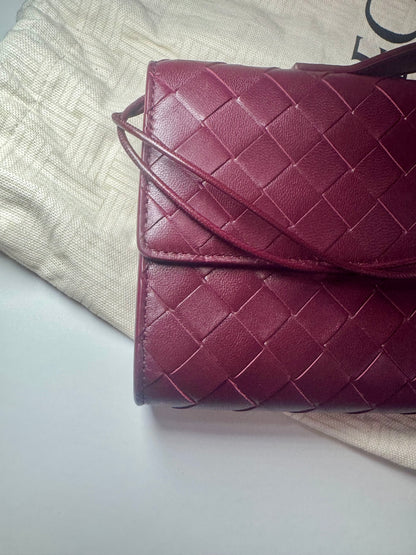 Bottega Veneta Andiamo Clutch