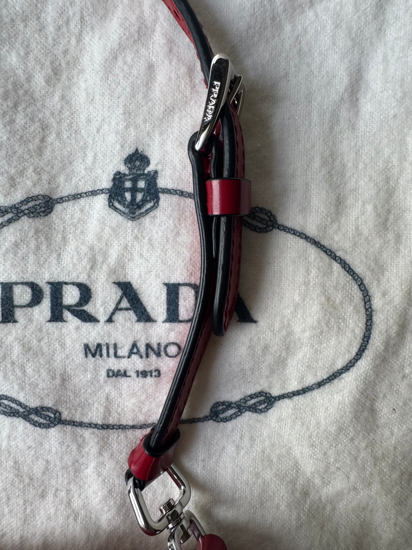 Prada Cleo