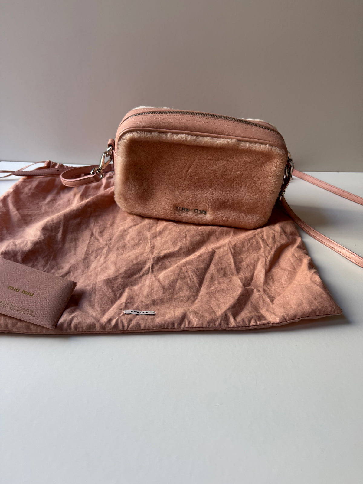 Miu Miu Logo Camera Bag