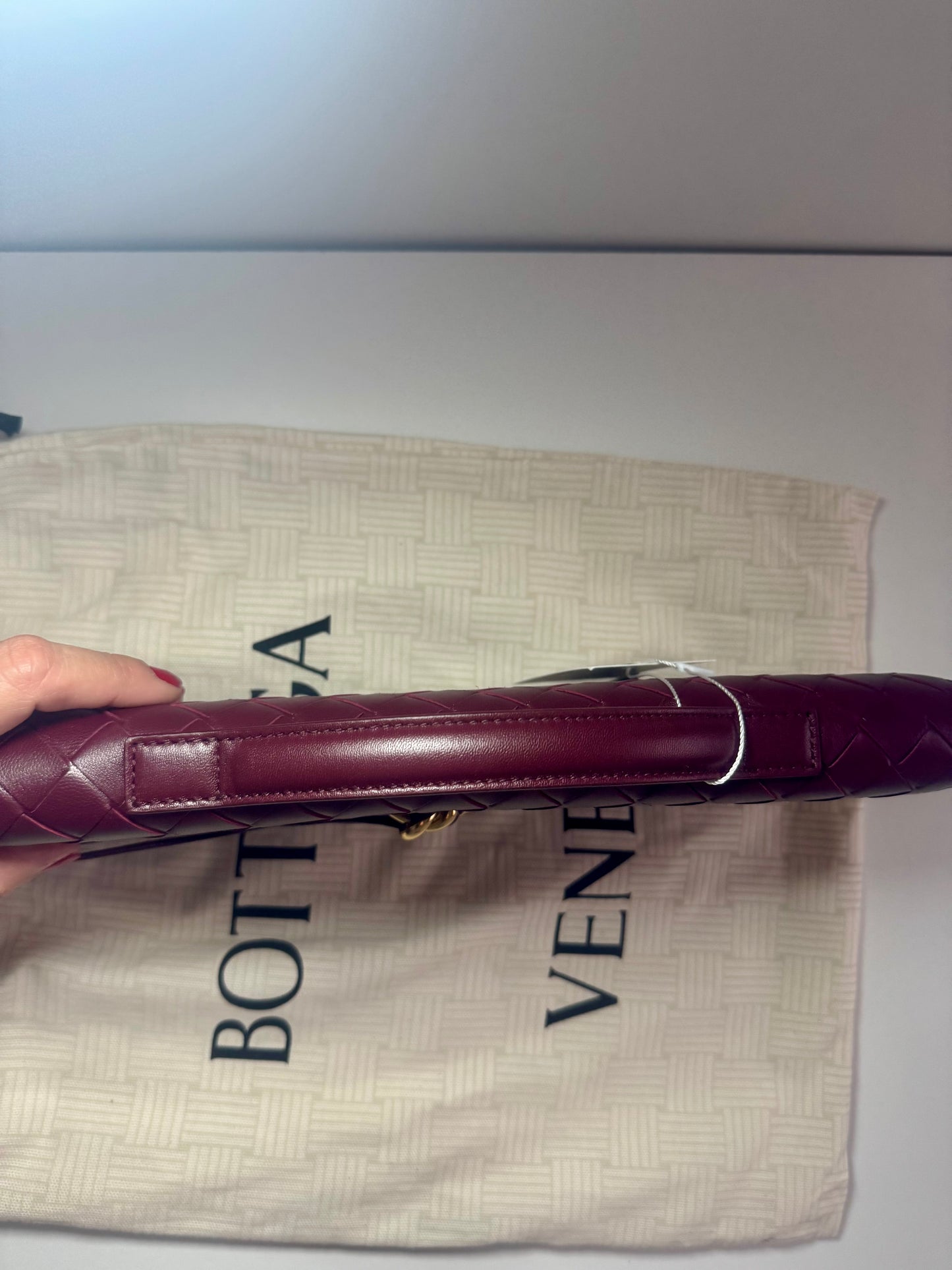 Bottega Veneta Andiamo Clutch