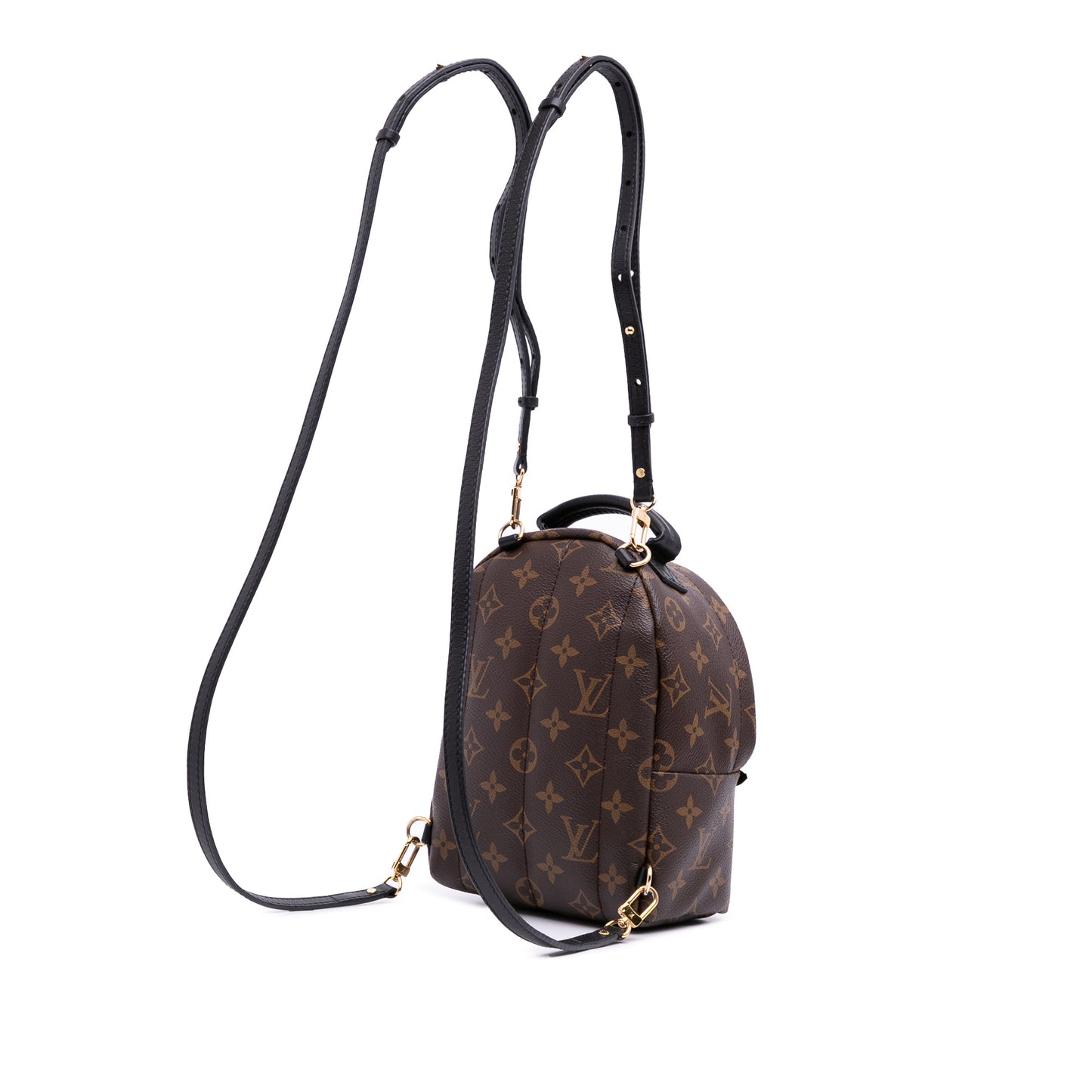 Louis Vuitton Palm Spring