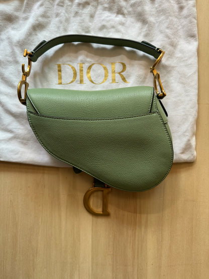 Dior Mini Saddle