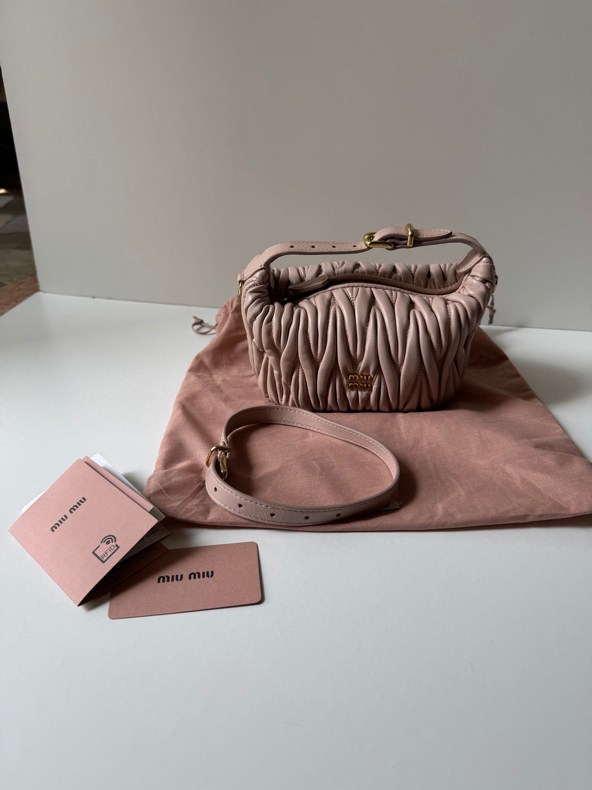 Miu Miu Mini Pouch Bag