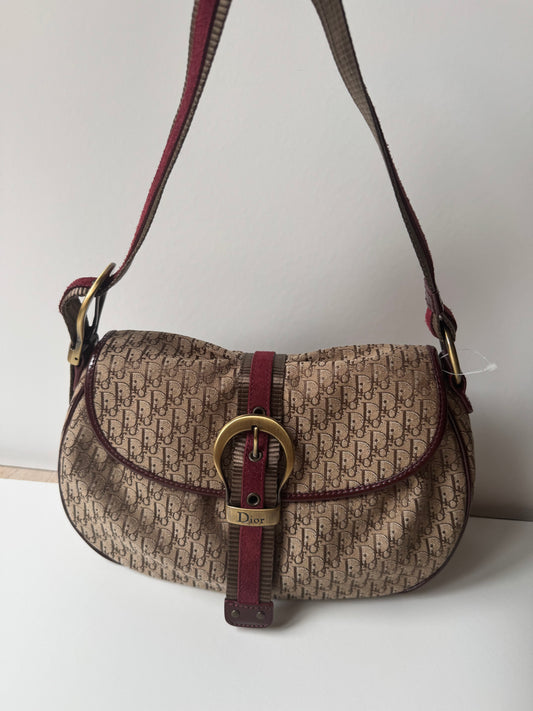 Dior Diorissimo Trotter Bag
