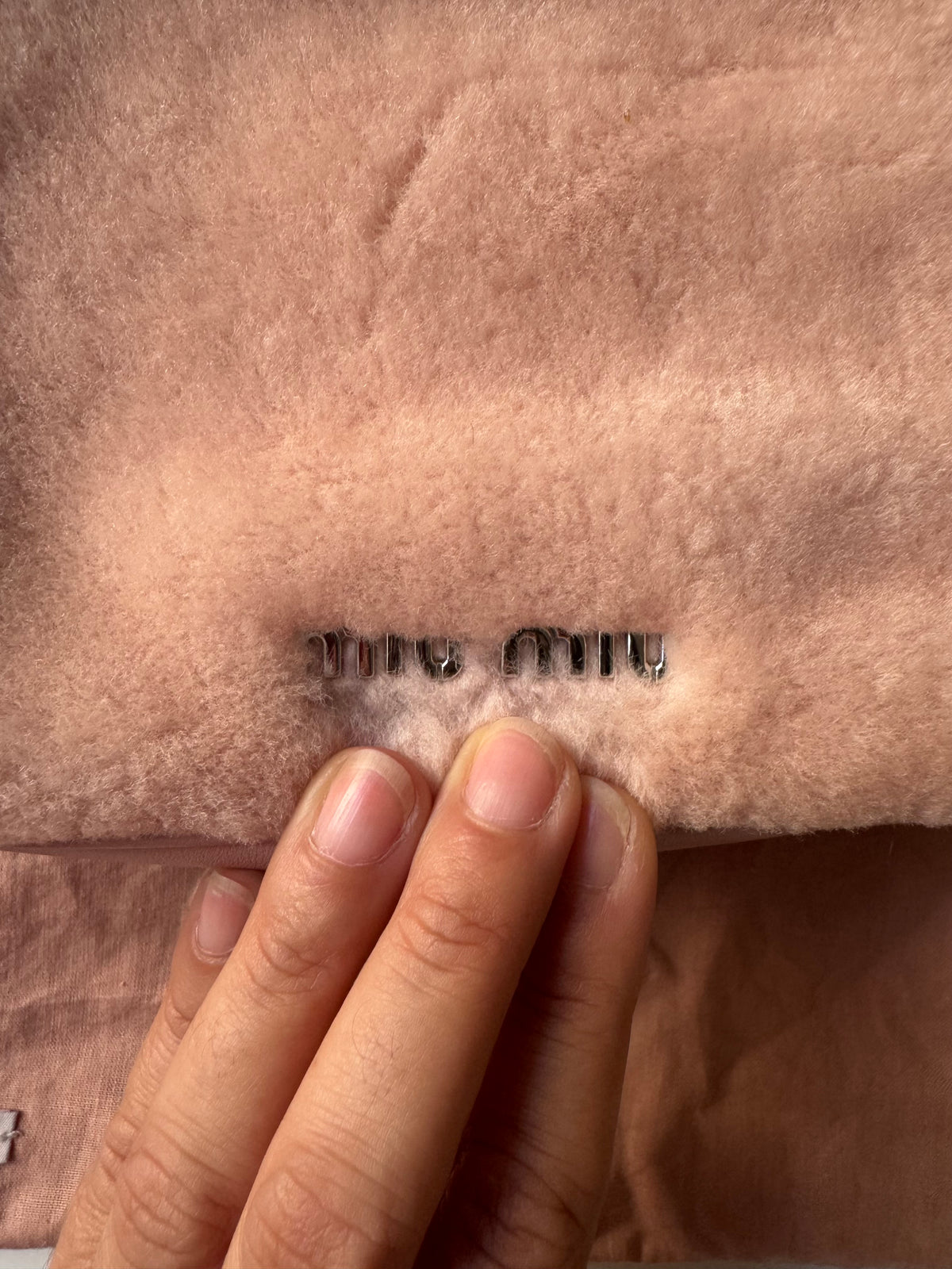 Miu Miu Logo Camera Bag