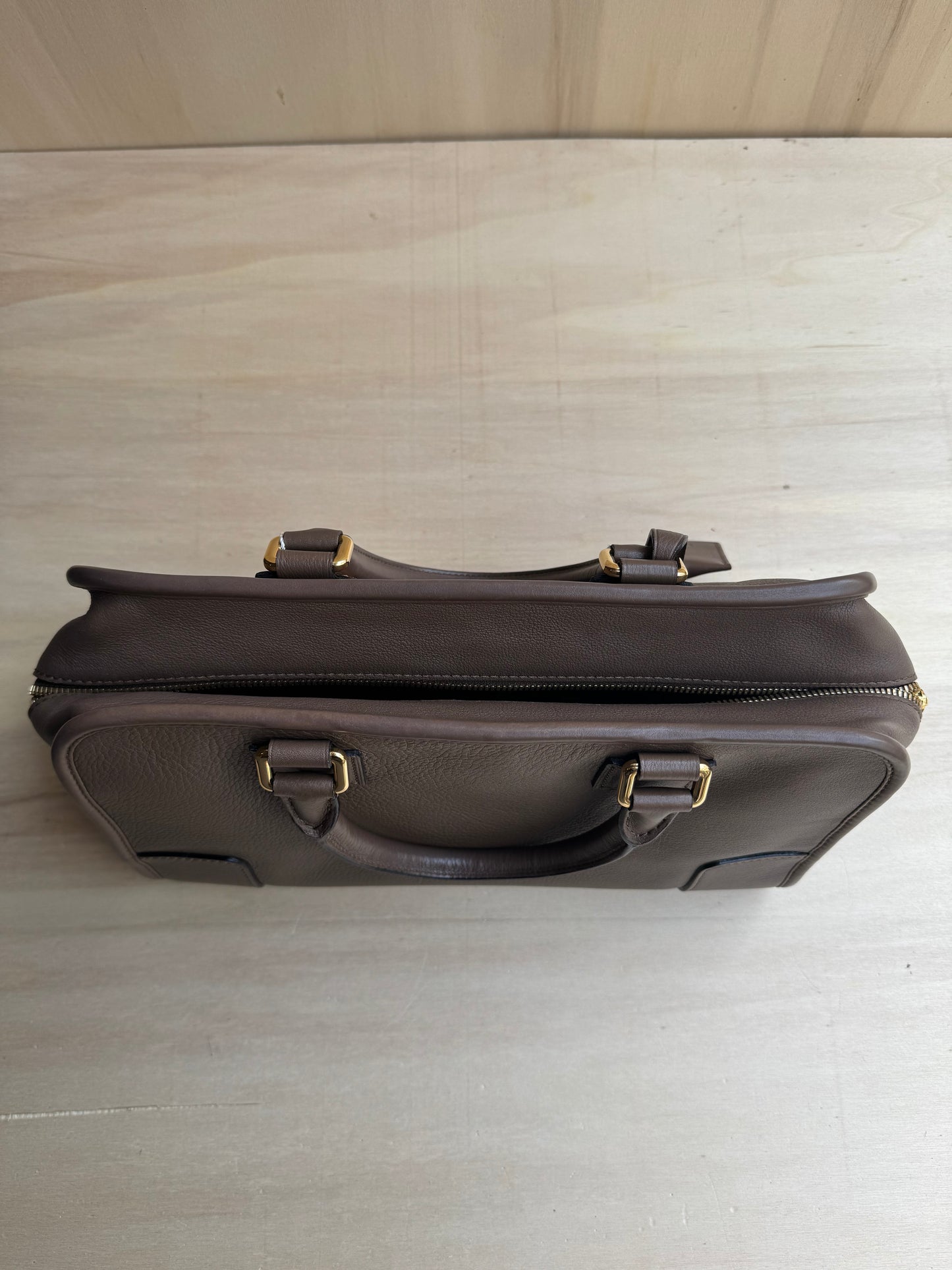 Loewe Amazona Bag