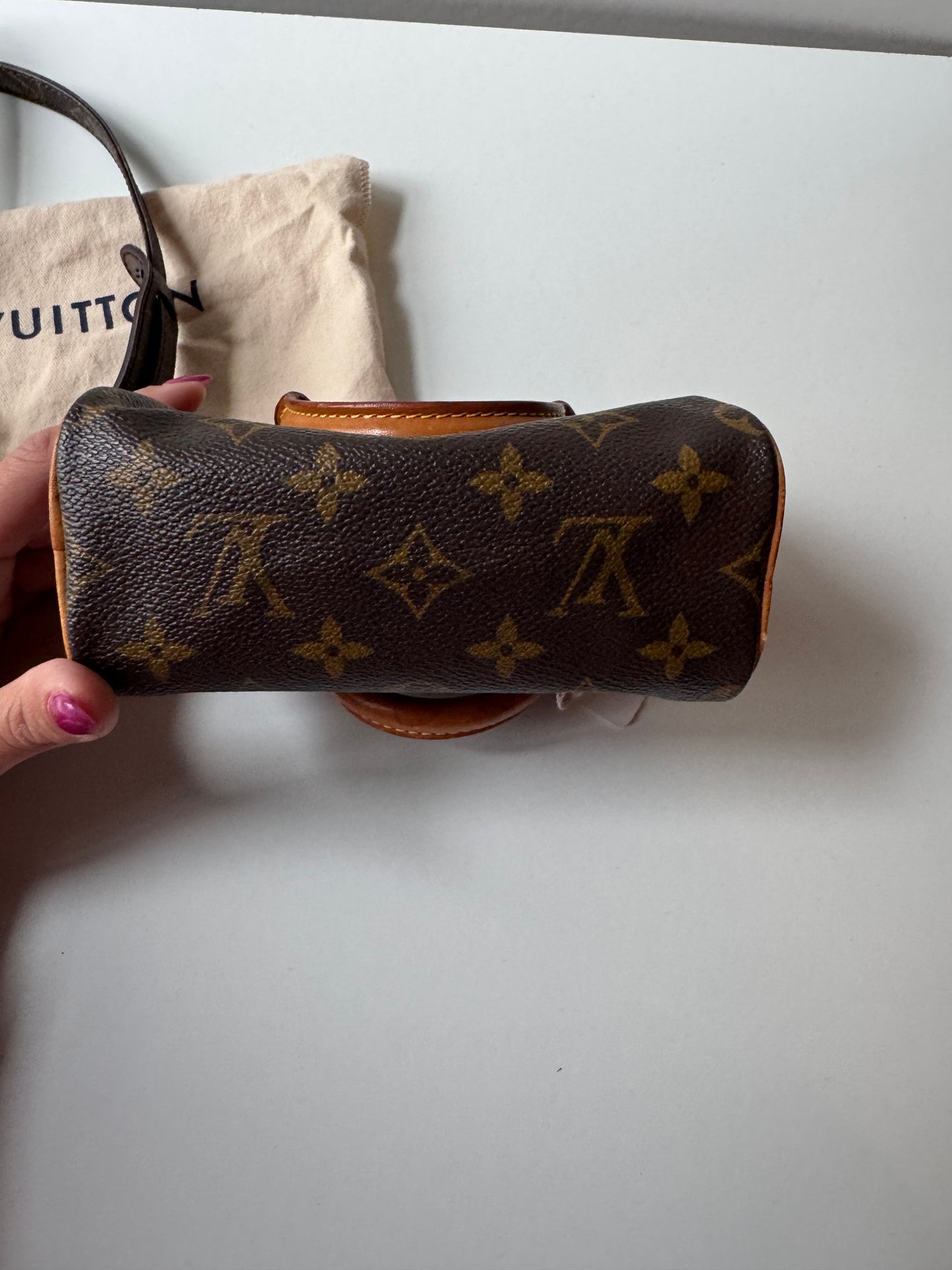 Louis Vuitton Speedy Nano