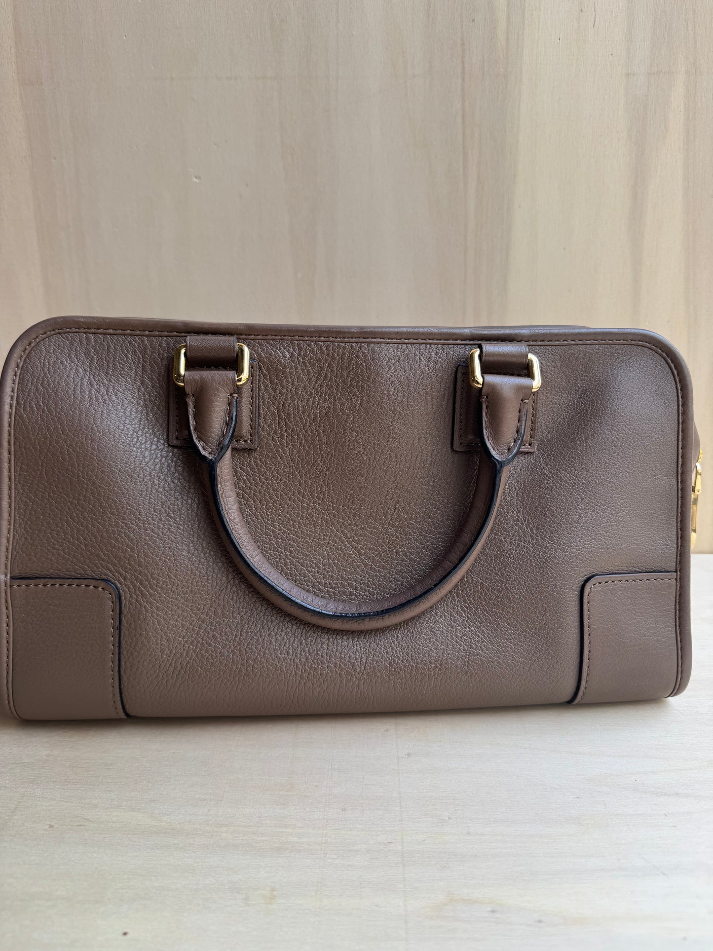 Loewe Amazona Bag