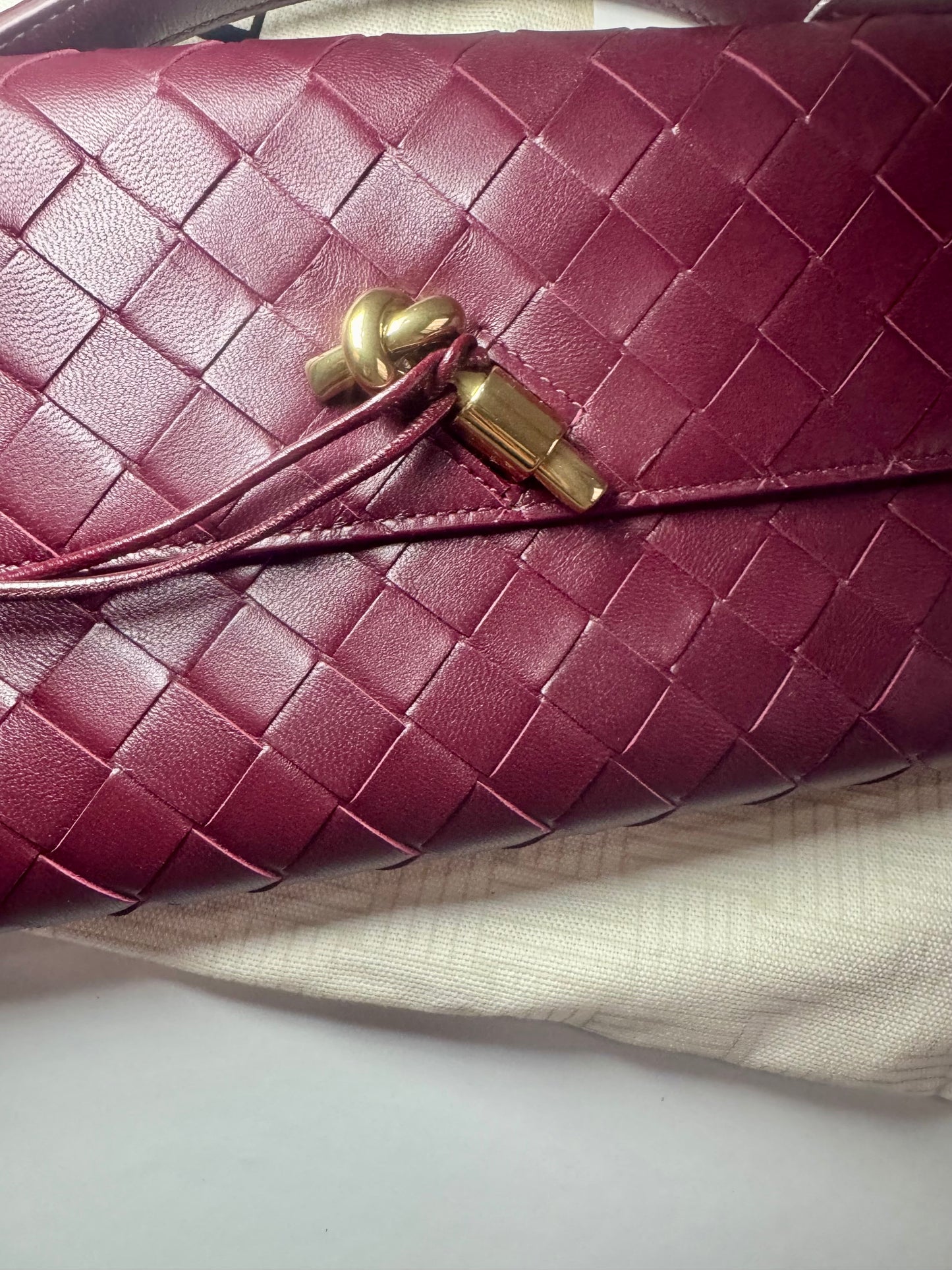 Bottega Veneta Andiamo Clutch