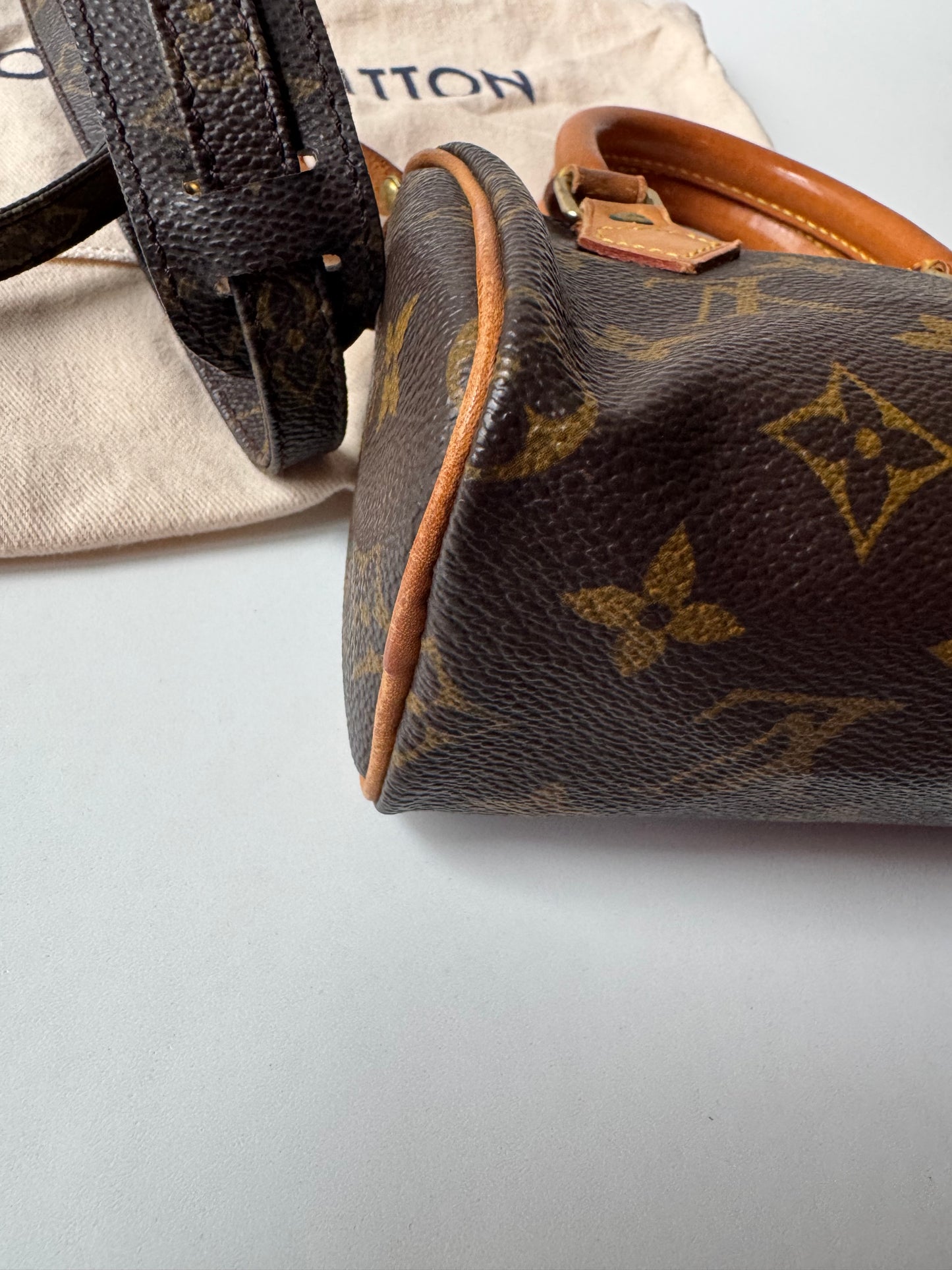 Louis Vuitton Speedy Nano