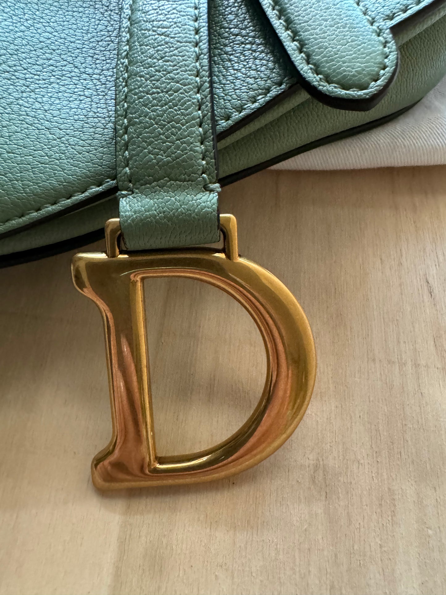 Dior Mini Saddle