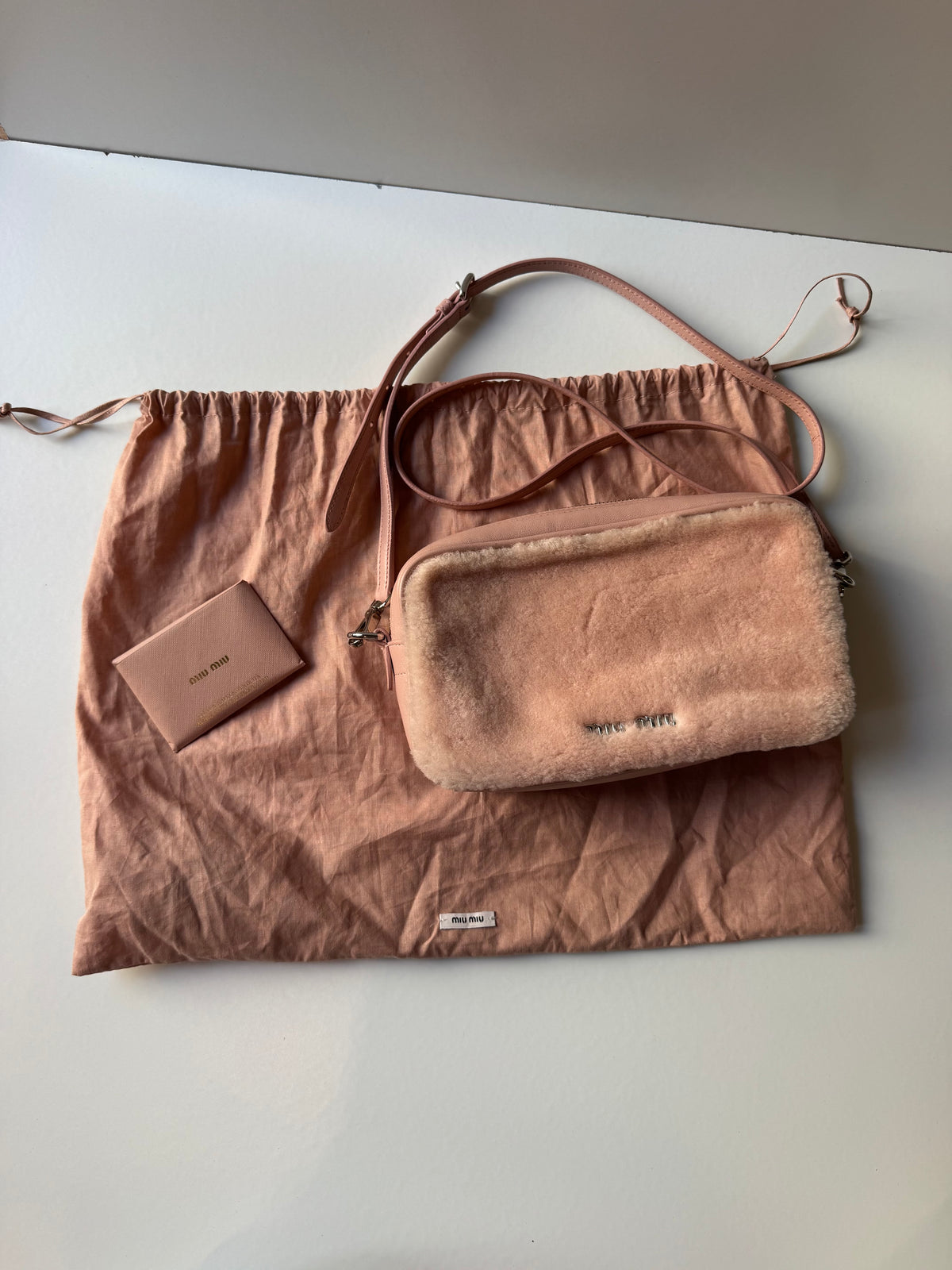 Miu Miu Logo Camera Bag