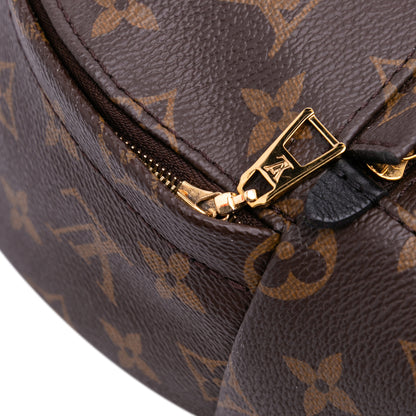 Louis Vuitton Palm Spring
