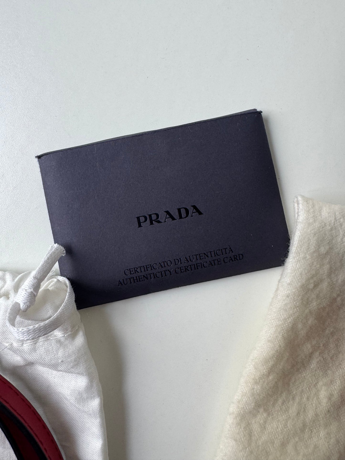 Prada Cleo