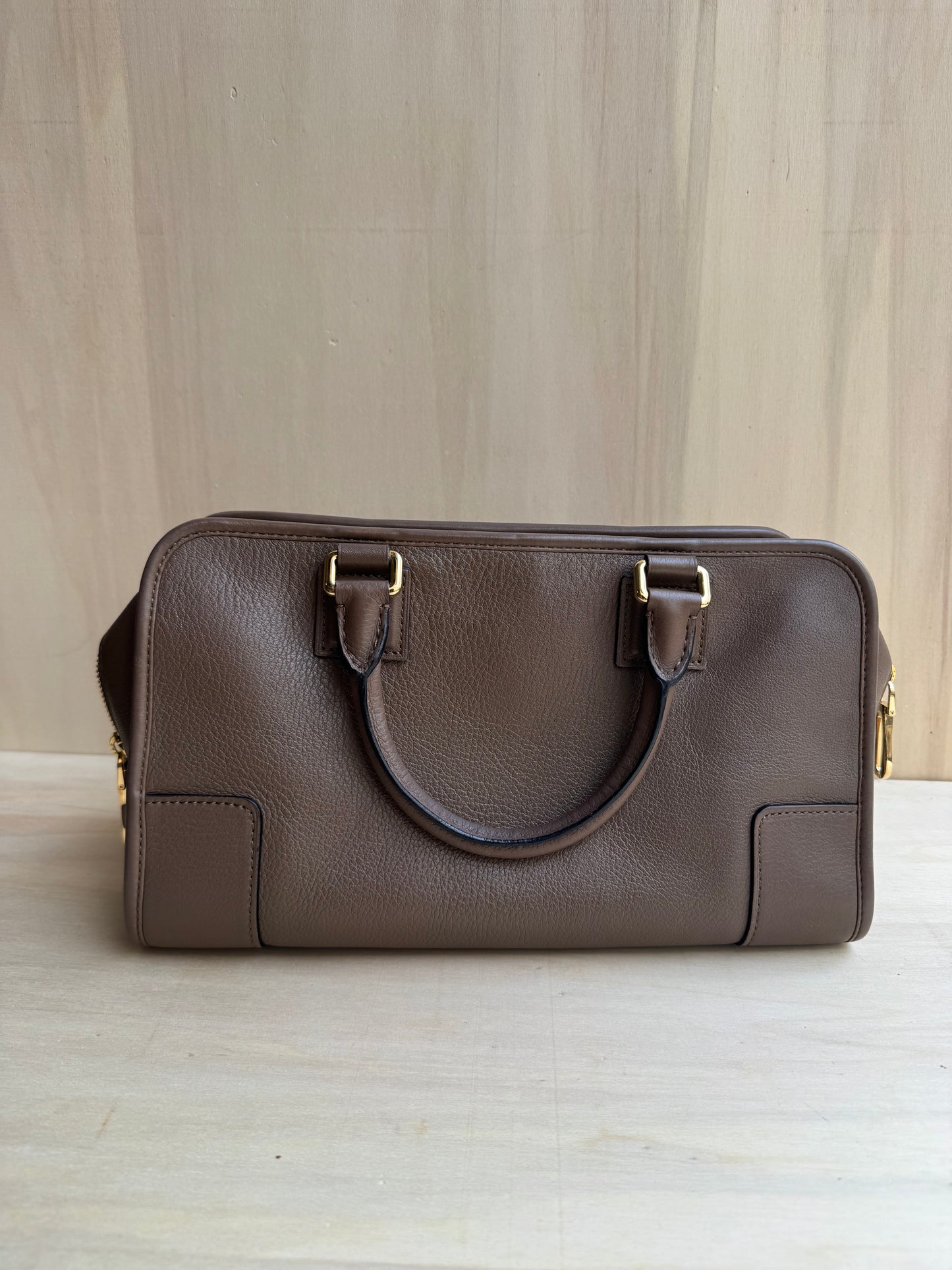 Loewe Amazona Bag