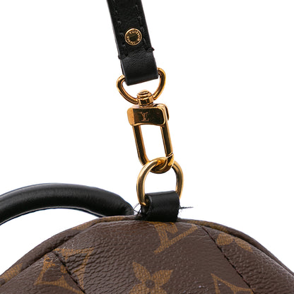Louis Vuitton Palm Spring Mini