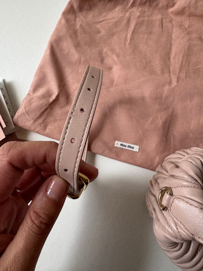 Miu Miu Mini Pouch Bag