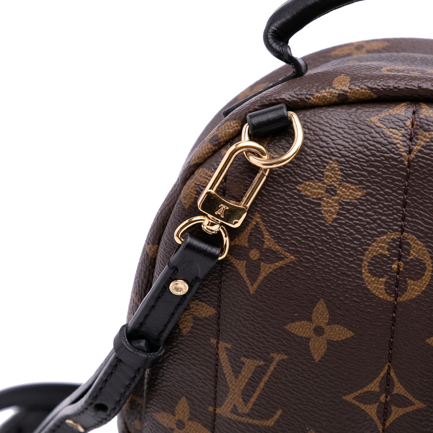 Louis Vuitton Palm Spring