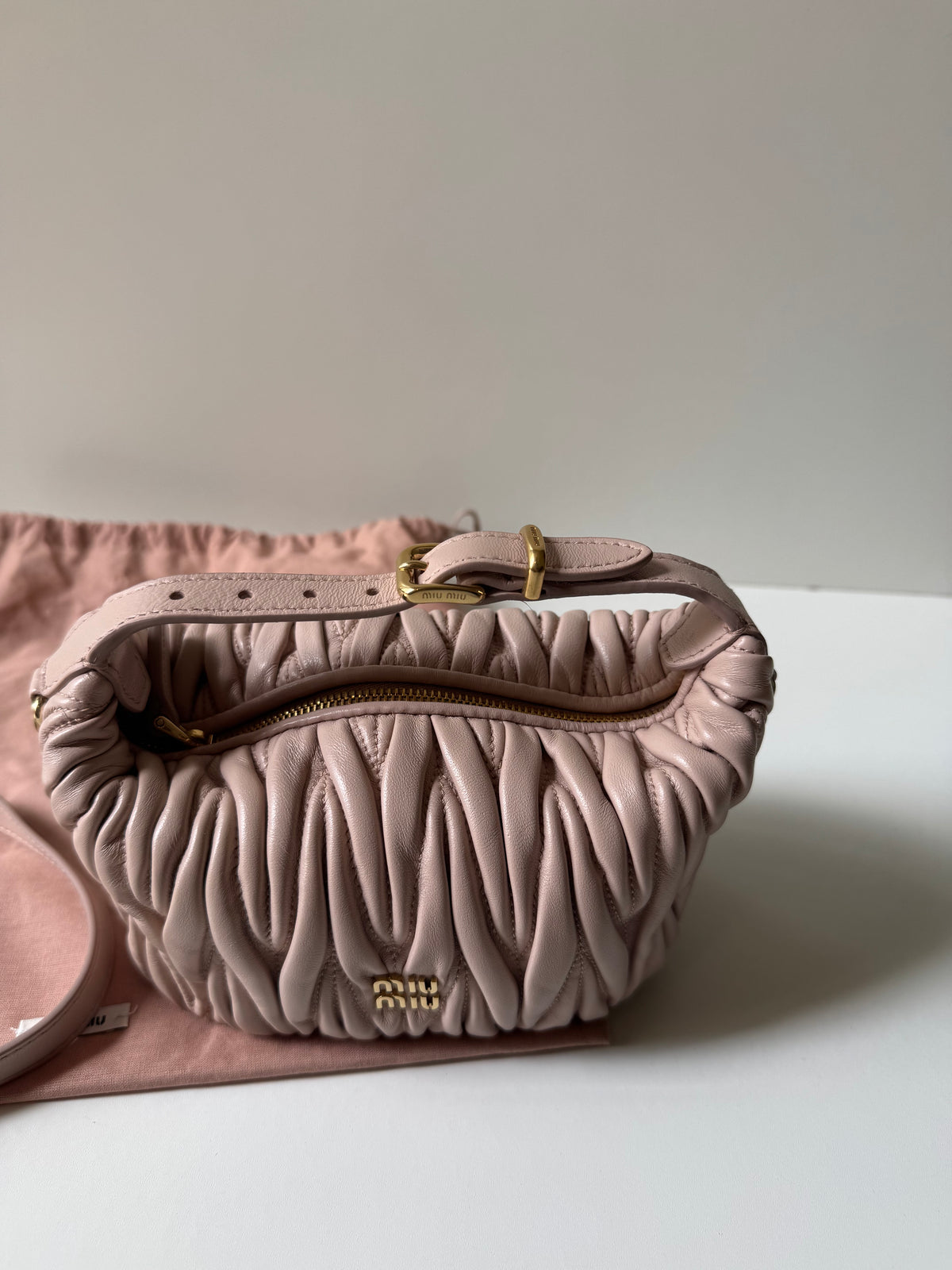 Miu Miu Mini Pouch Bag