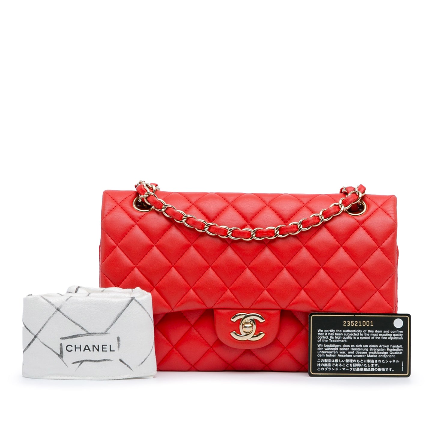 Chanel Medium Classic Double Flap