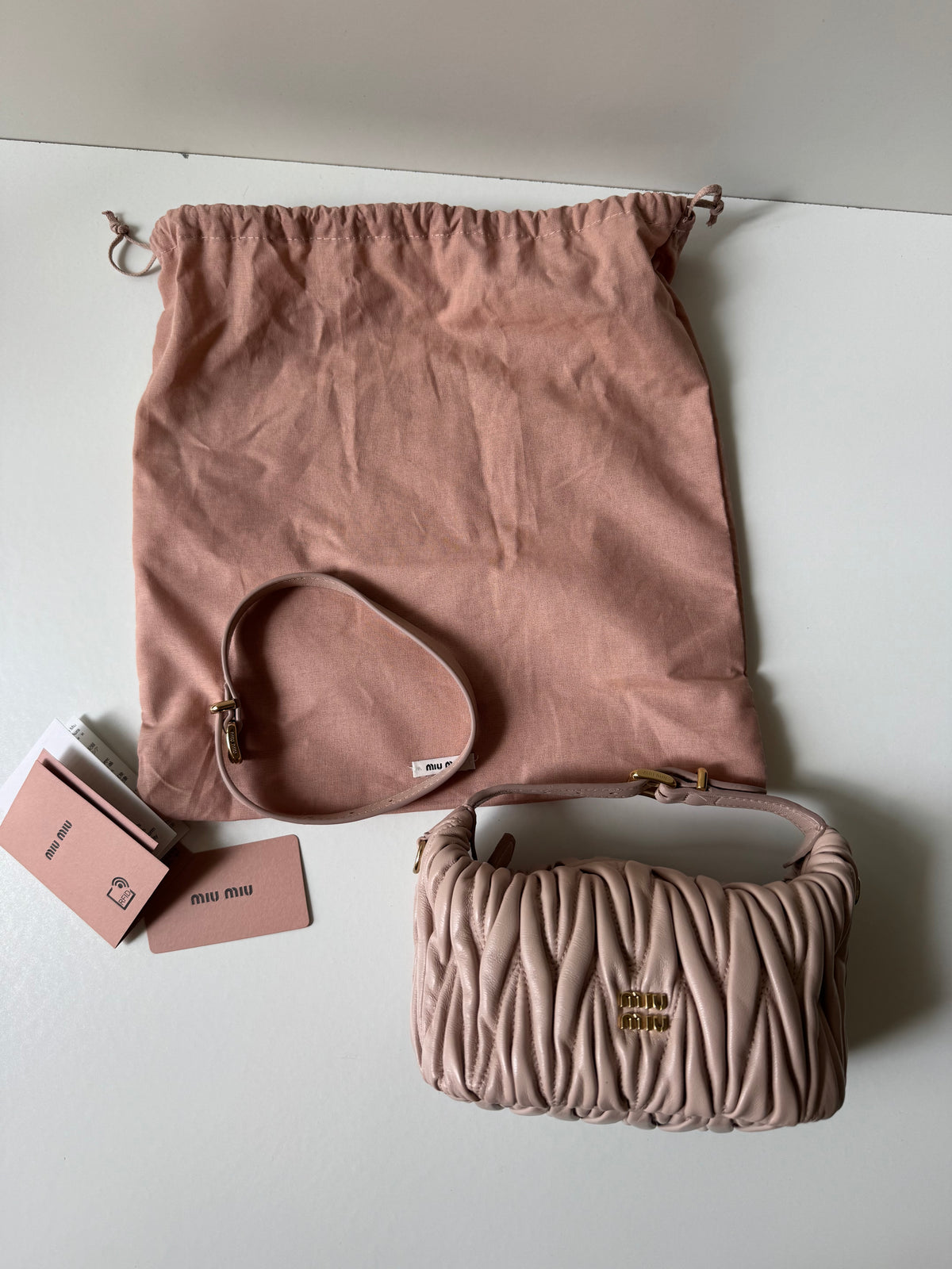 Miu Miu Mini Pouch Bag