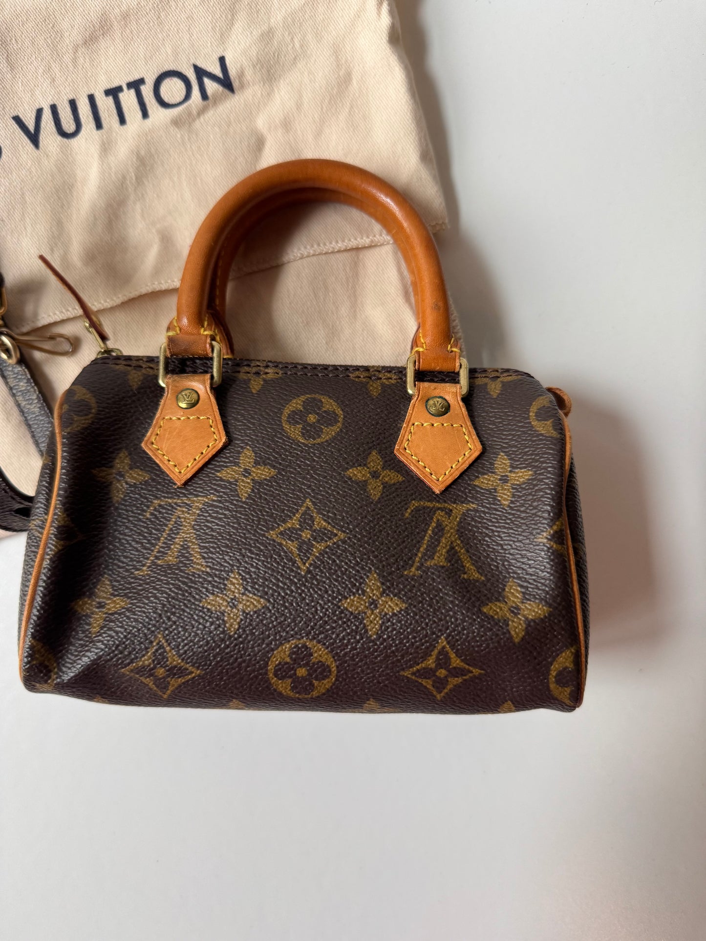 Louis Vuitton Speedy Nano