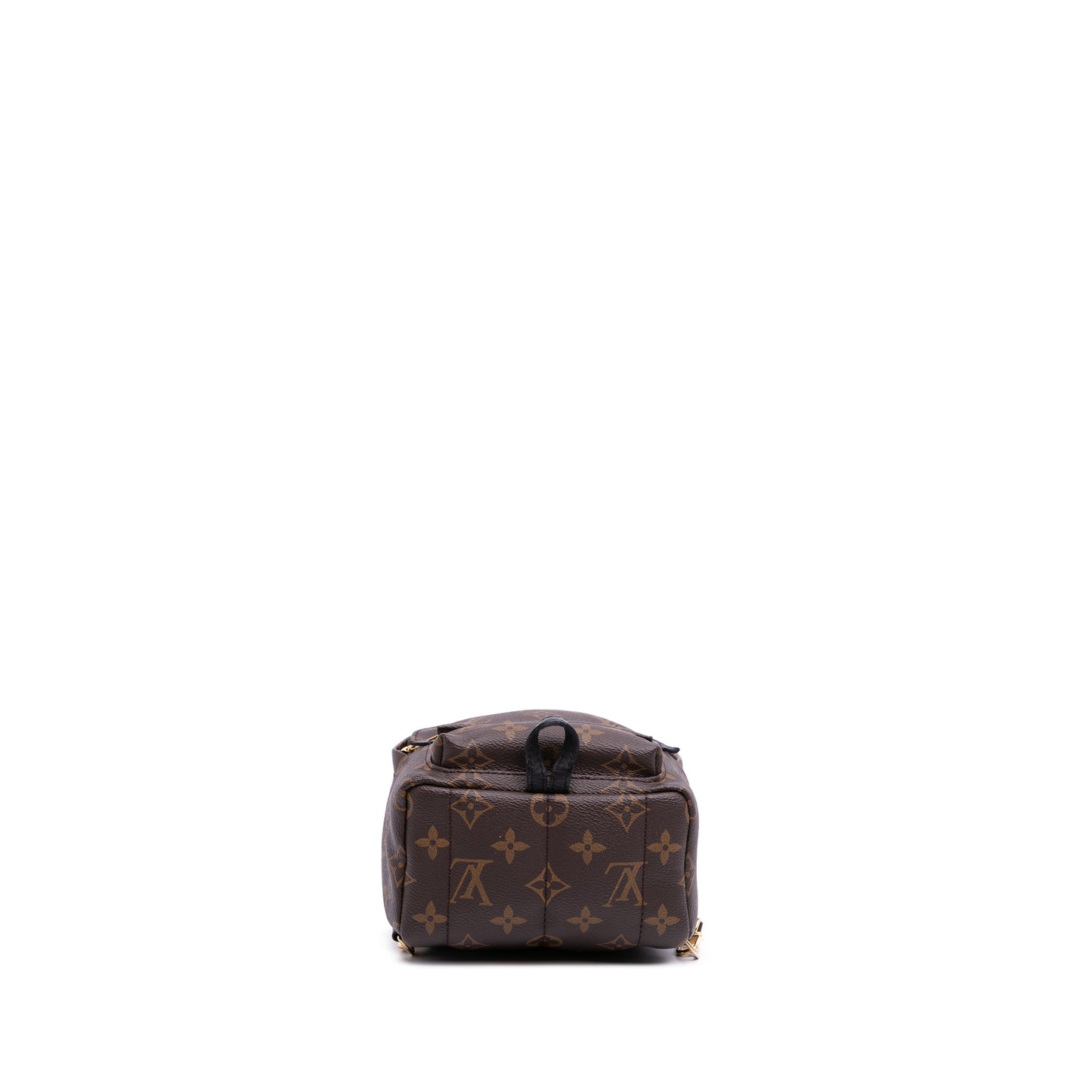 Louis Vuitton Palm Spring