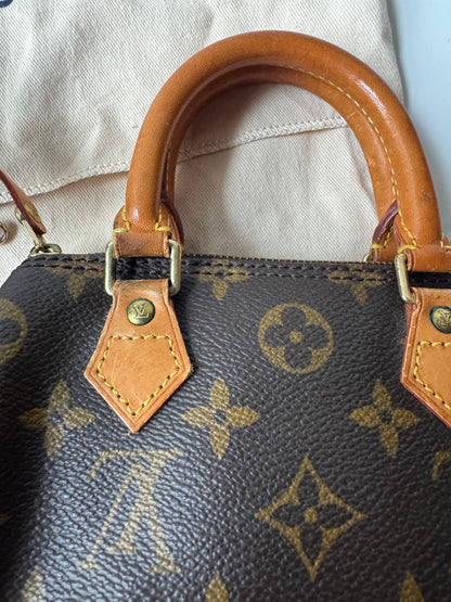 Louis Vuitton Speedy Nano