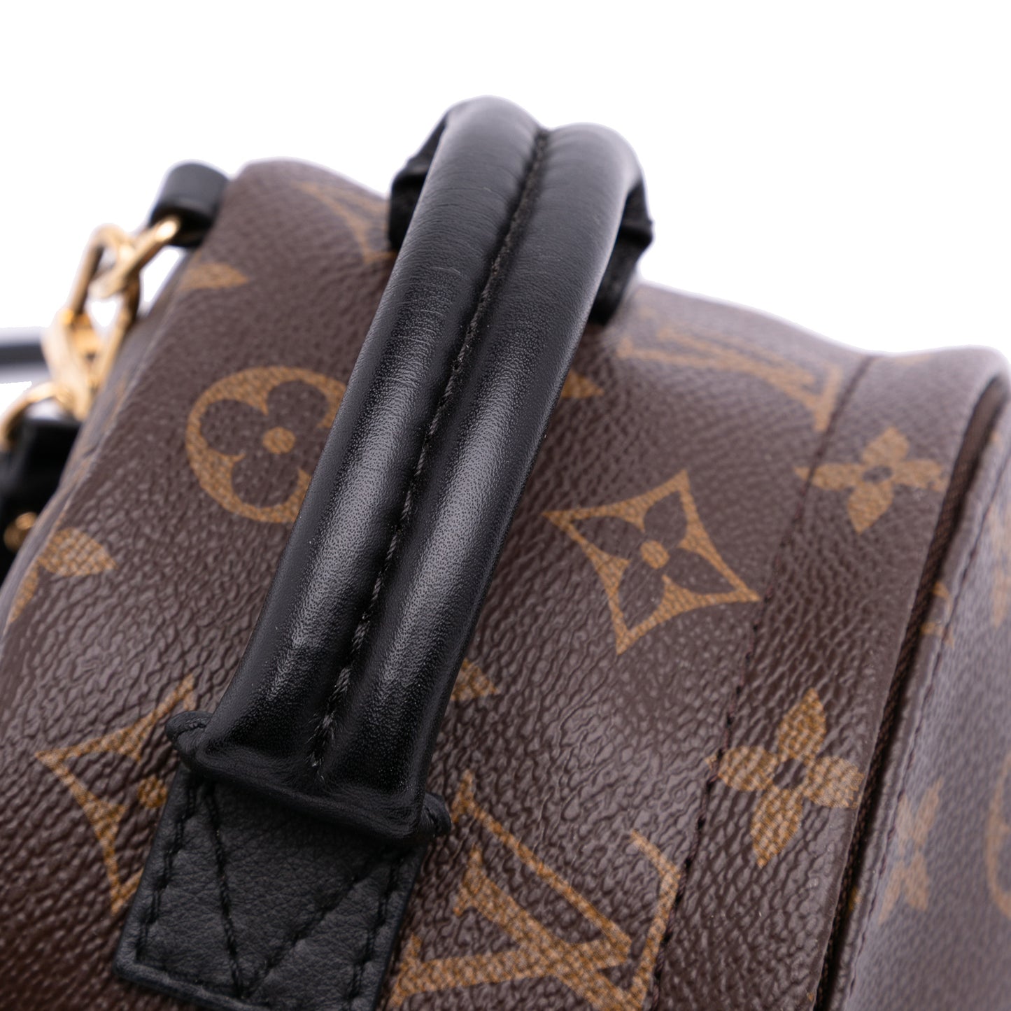 Louis Vuitton Palm Spring