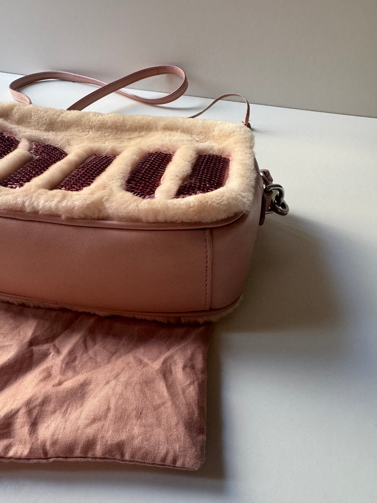 Miu Miu Logo Camera Bag