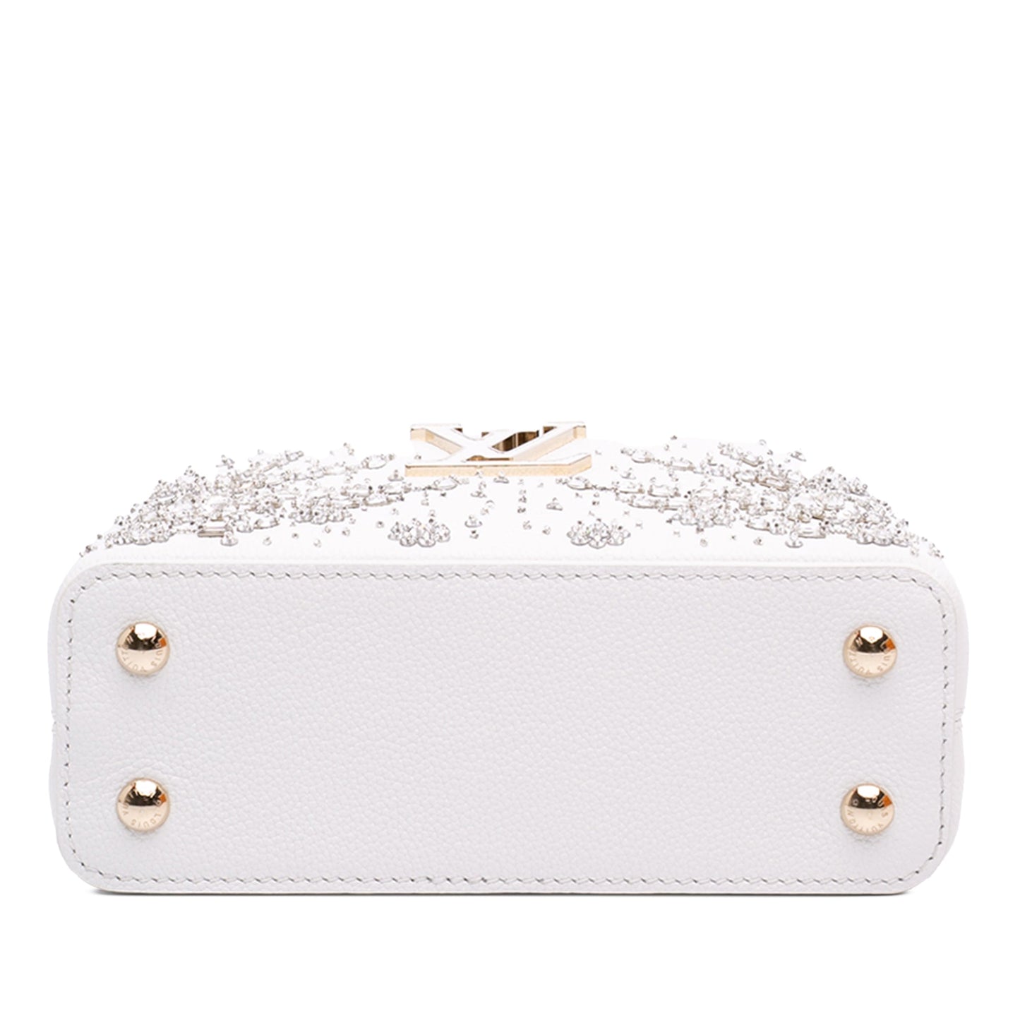 Louis Vuitton Calfskin Floral Embroidered used Mini Capucines Bag