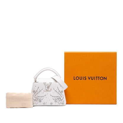 Louis Vuitton Calfskin Floral Embroidered used Mini Capucines Bag
