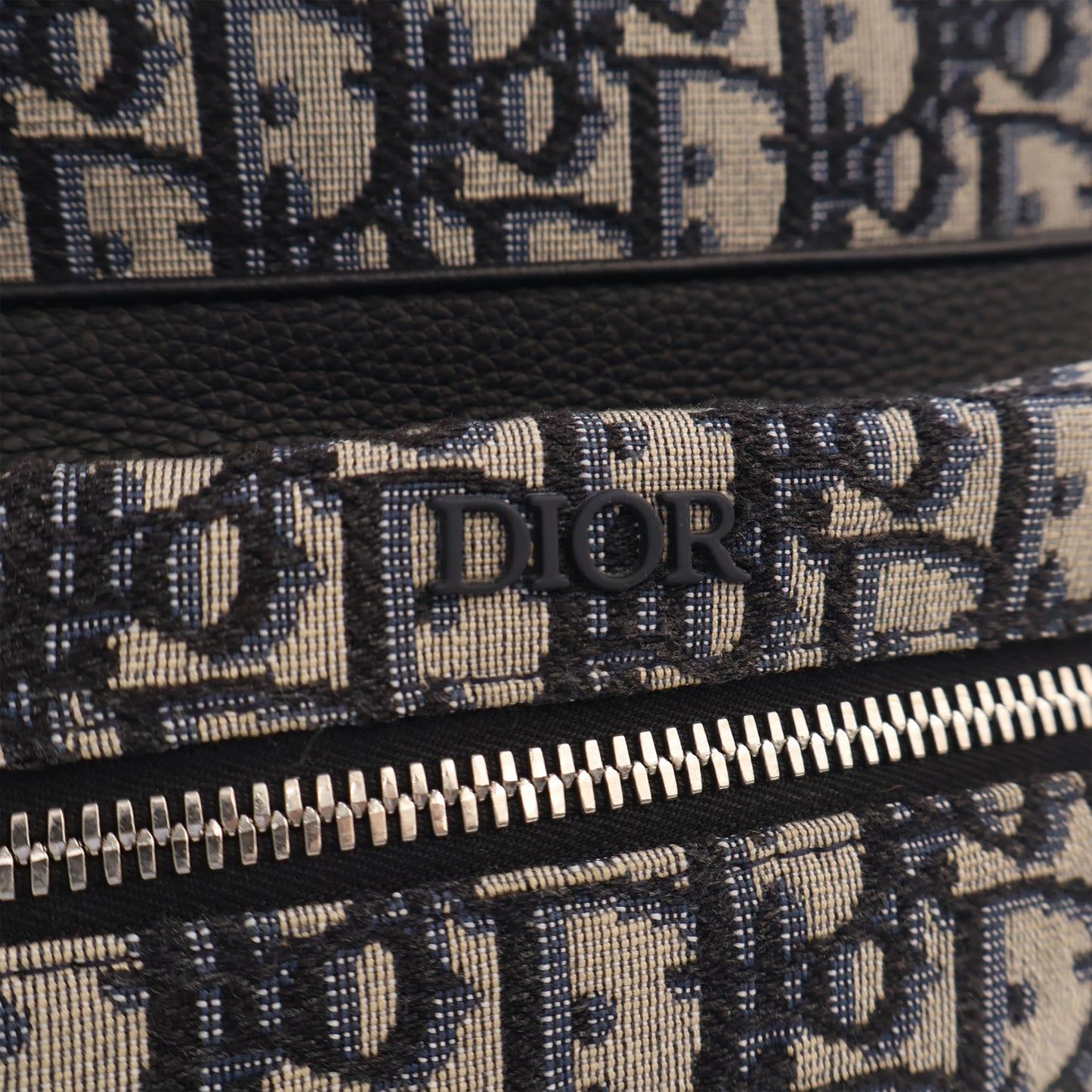 Dior Oblique Canvas Rider Backpack