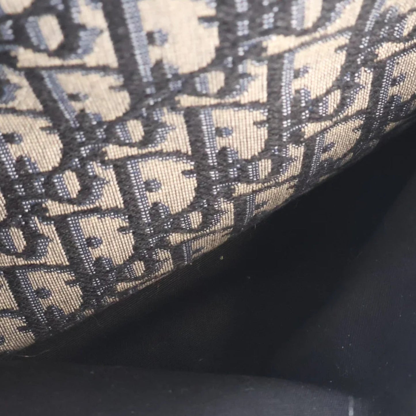 Dior Oblique Canvas Rider Backpack