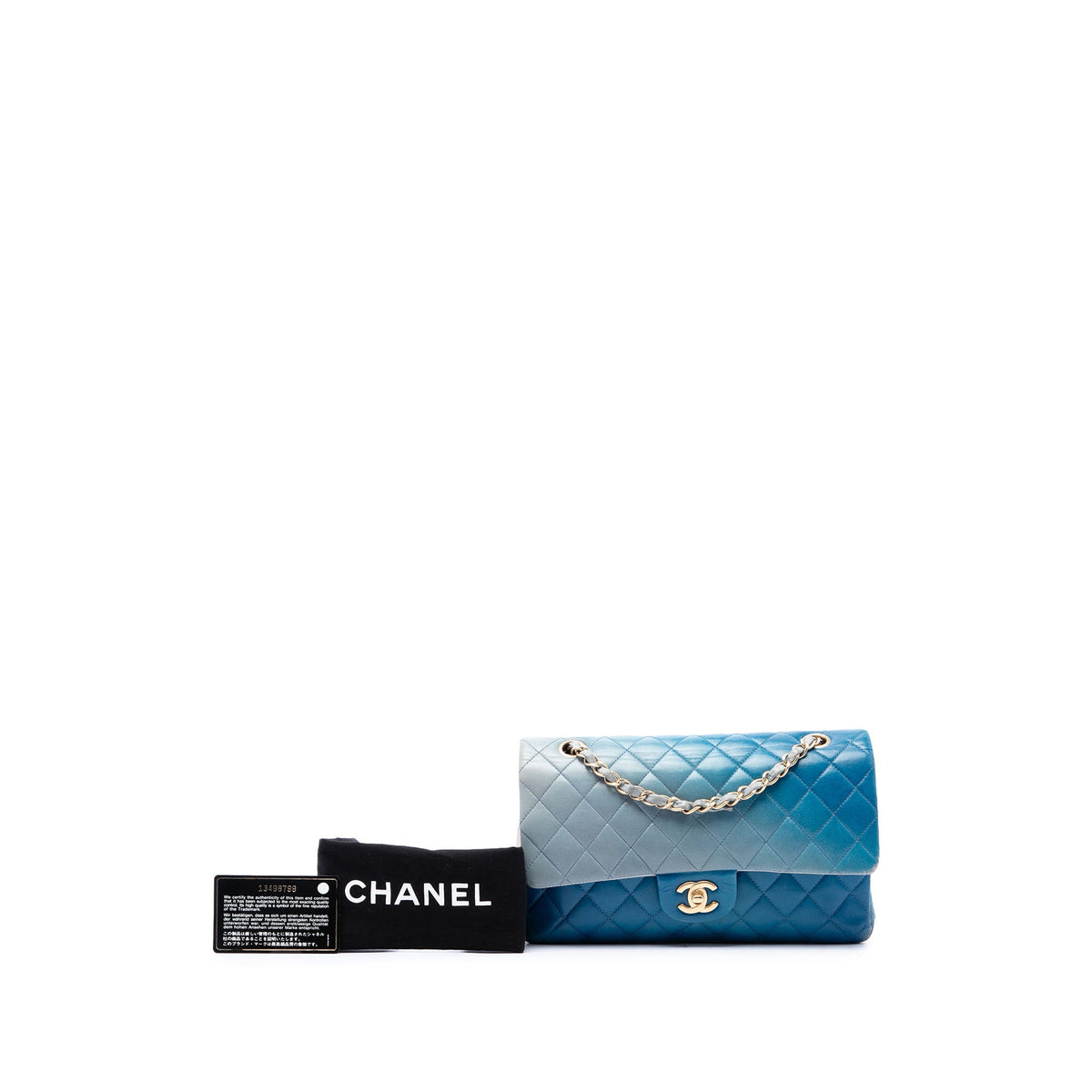 Chanel Medium Classic Ombre Lambskin Double Flap