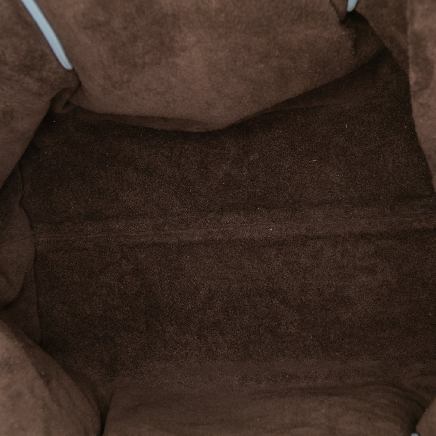 Bottega Veneta Pinacoteca Tote