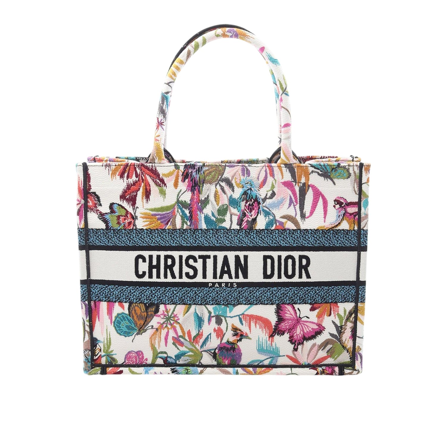 Dior Book Tote