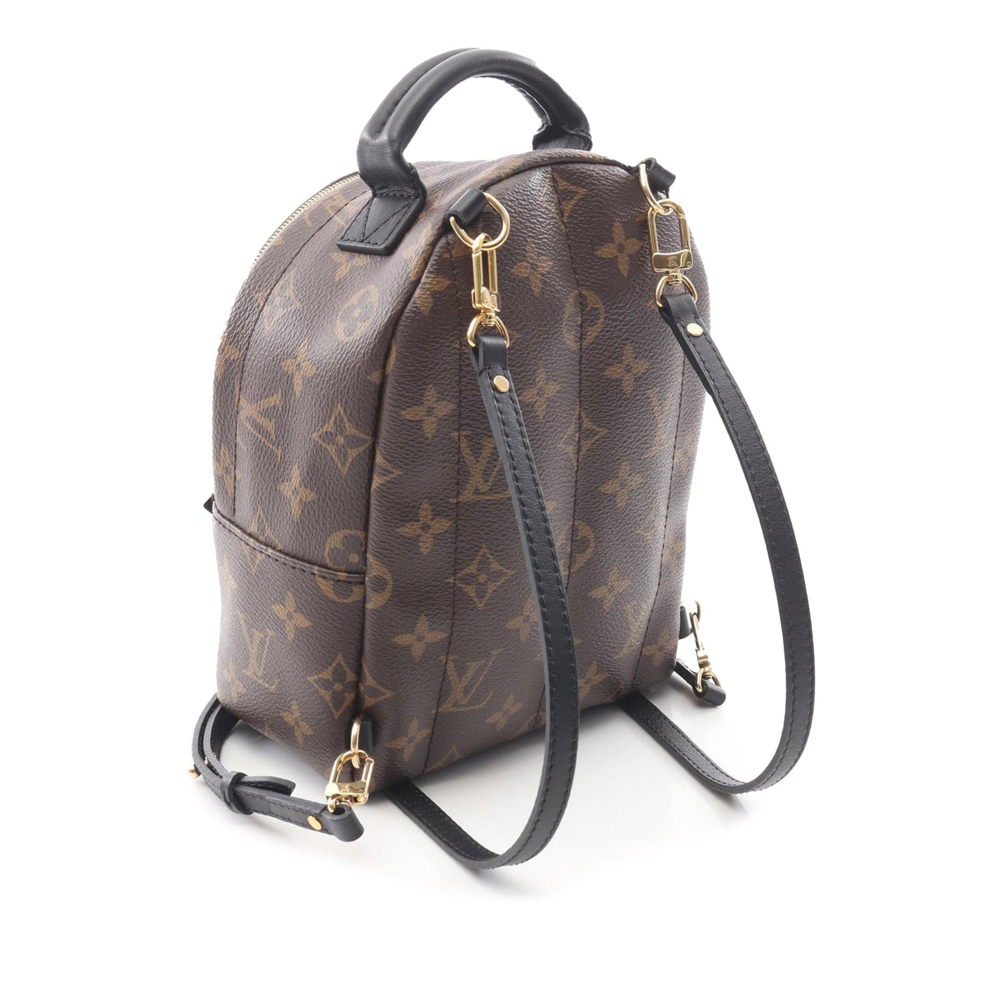 Louis Vuitton Palm Spring
