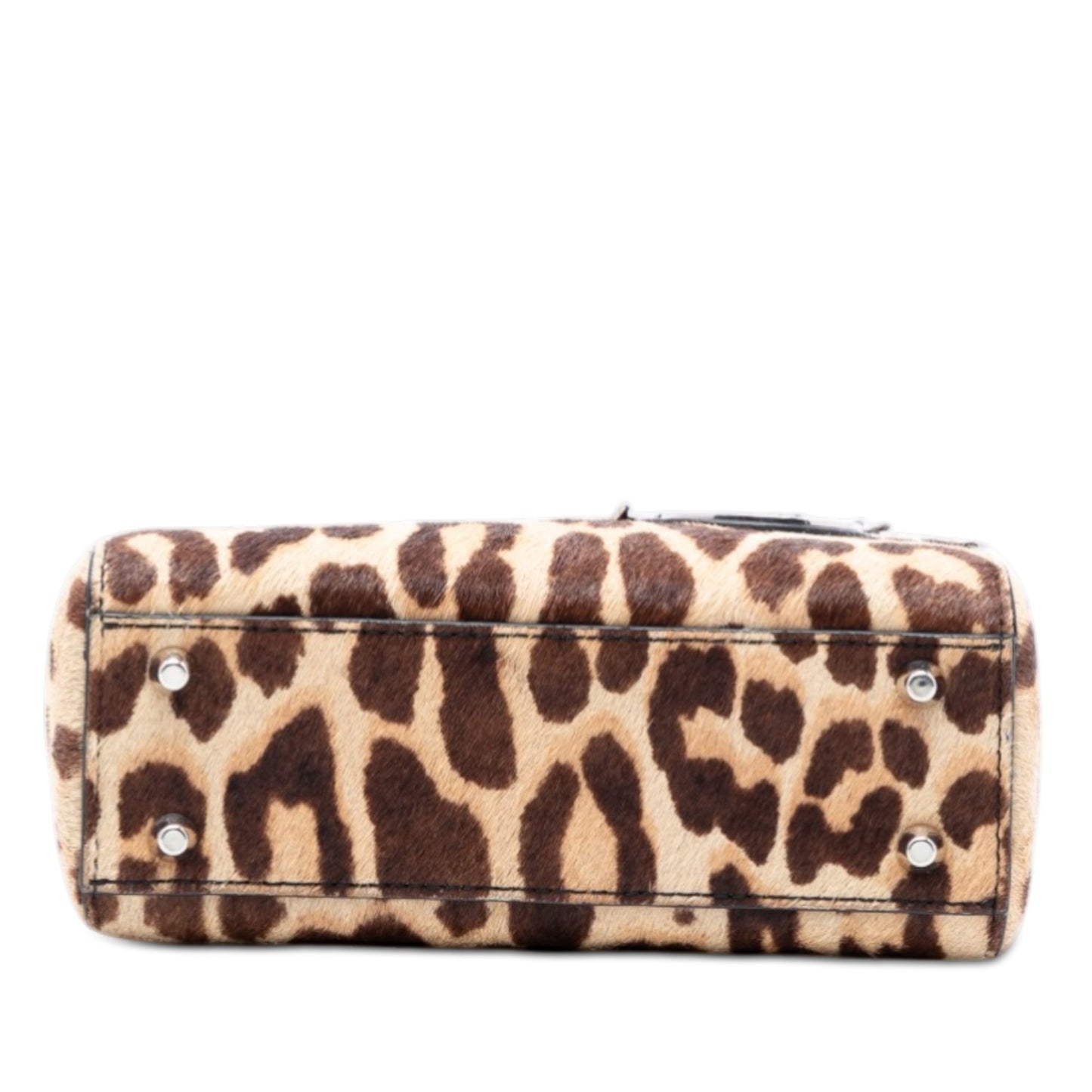 Dior Pony Hair Leopard Print Lady Dior bag