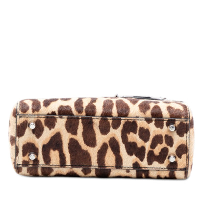 Dior Pony Hair Leopard Print Lady Dior bag