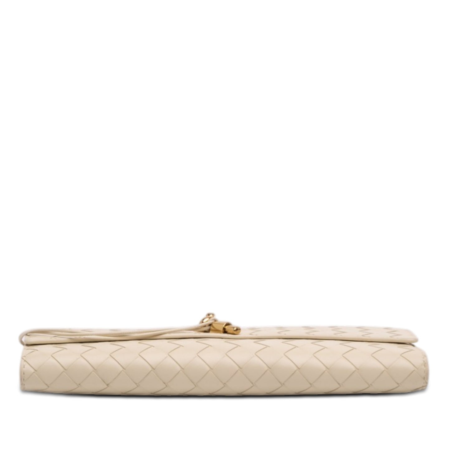Bottega Veneta Andiamo Clutch